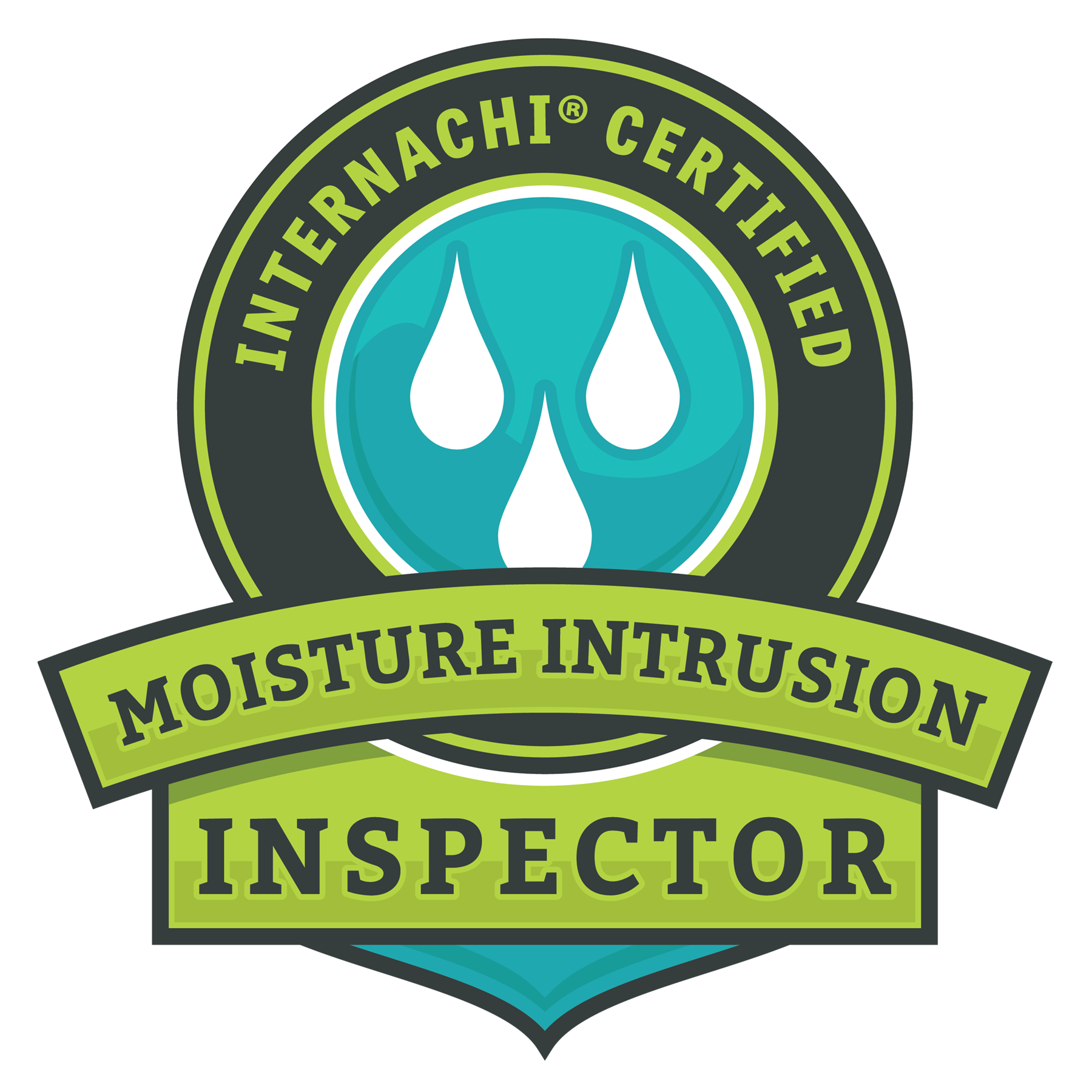 Moisture Intrusion Inspection
