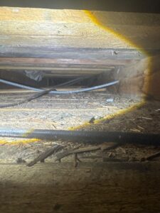 House Inspection