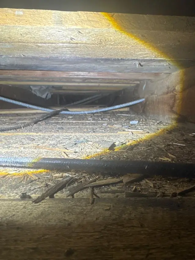 House Inspection