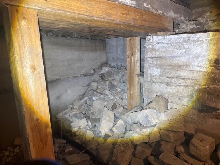 House Inspection