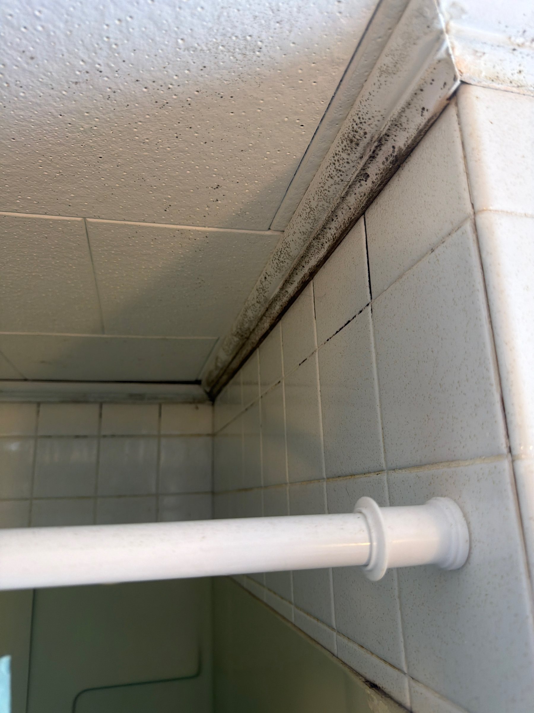 Dark moisture-related staining along a bathroom ceiling and tile joint